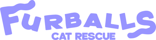 Furballs Cat Rescue