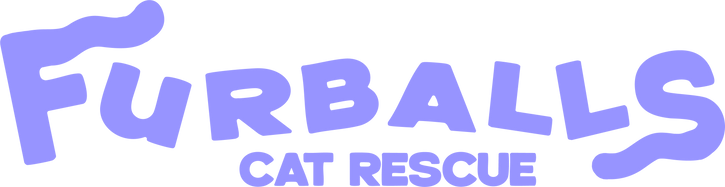 Furballs Cat Rescue