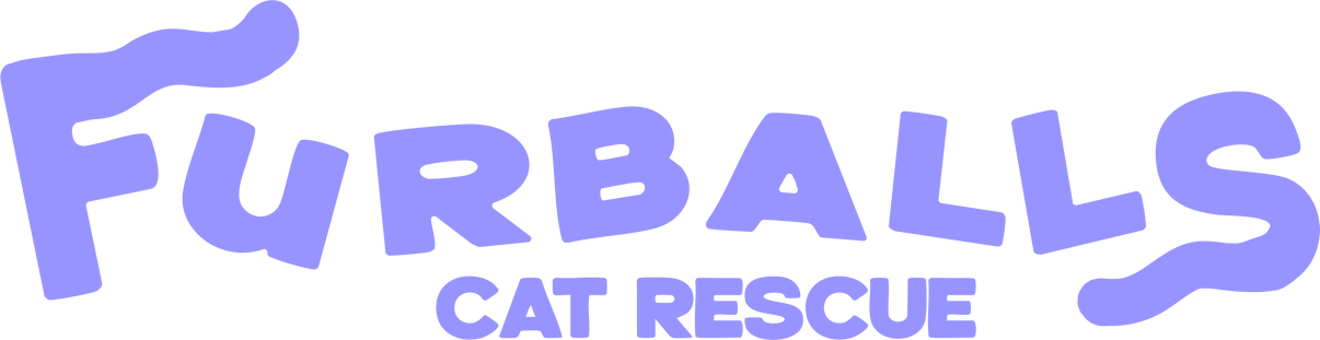 Furballs Cat Rescue