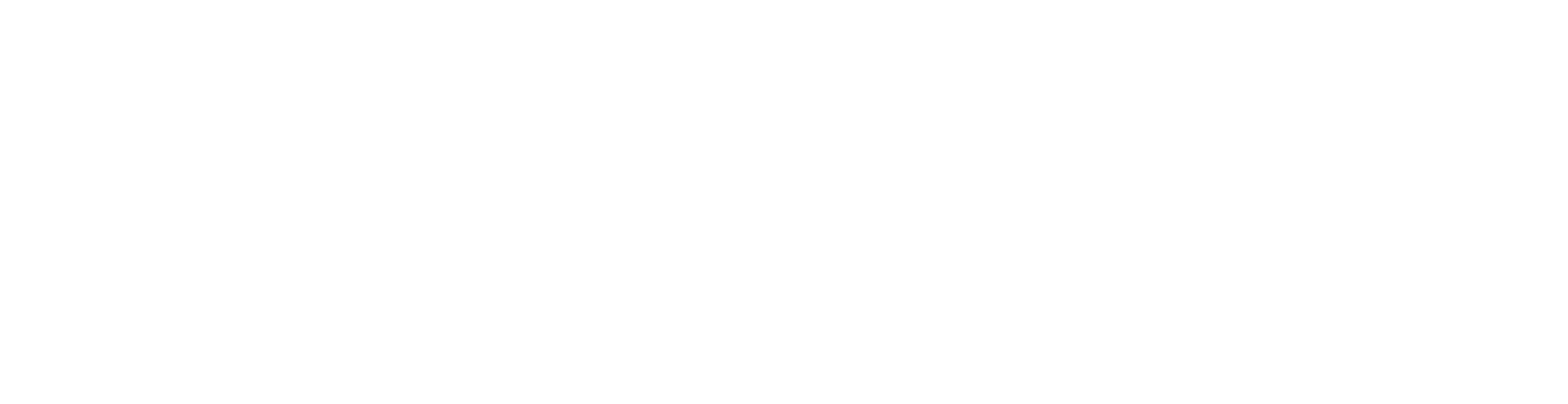 Furballs Cat Rescue